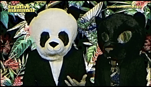 Creative Mammals video reel: A creative look at what they do