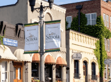 New York Times: Hollywood Invested Big in Georgia, A New Law Causing Some Tensions