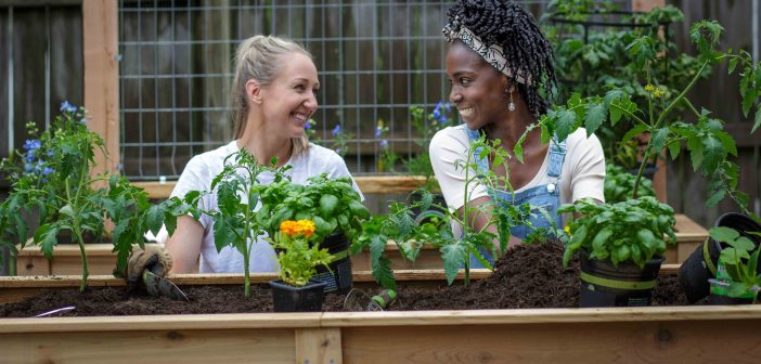 Georgia-lensed farming series receives second Emmy Nomination
