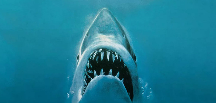 TIFF Classics marks the Festival’s 50th edition with landmark restorations TIFF - Jaws